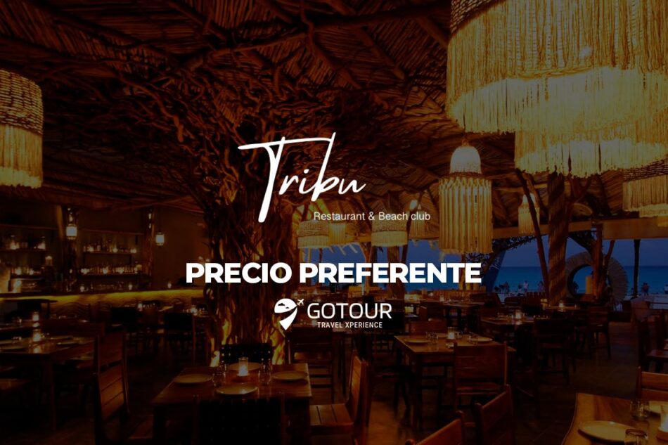 TRIBU CANCUN